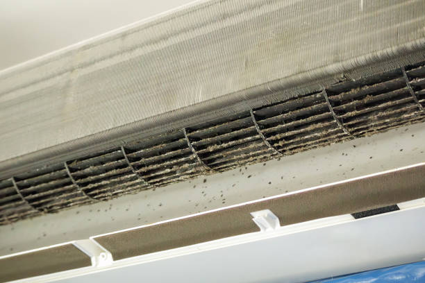 Best Affordable HVAC Duct Cleaning  in East Sparta, OH